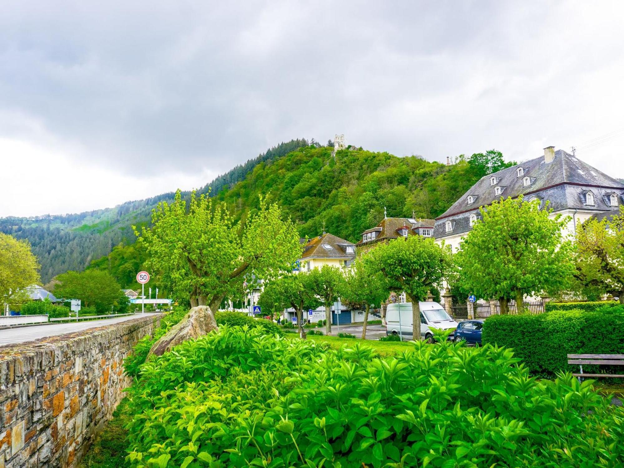 Apartment Julias Mosel - Traben-Trarbach
