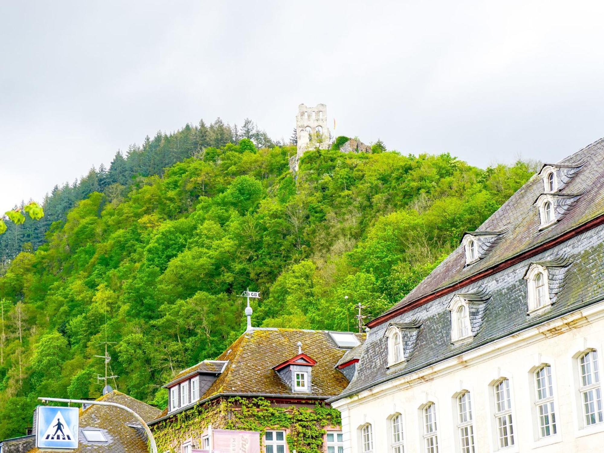 Apartment Julias Mosel - Traben-Trarbach